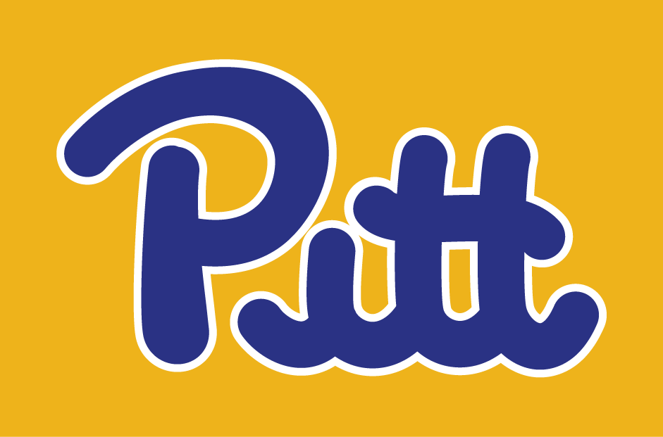 Pittsburgh Panthers 1973-1996 Wordmark Logo diy DTF decal sticker